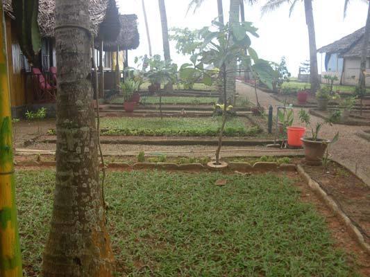 Bamboo Village Varkala Exterior foto